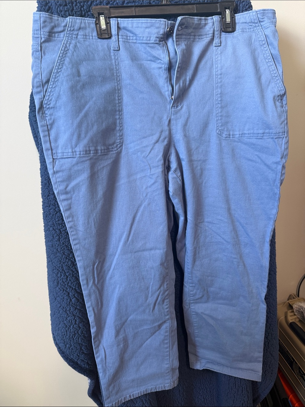 Wonderly Light Blue Cropped Women's Pants (90)